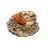 Жаба большая с монетами Янтарь/Керамика купить в Москве