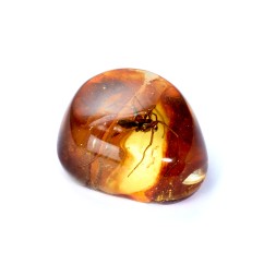 Сувенирный камень &quot;Паук&quot;, Янтарь полунатуральный с инклюзом